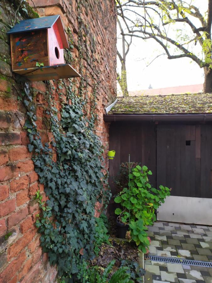 Tiny Cozy Accommodation Zagreb Exterior foto